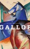 Cover of Gallop by Alison Brackenbury